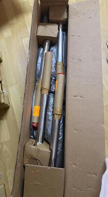 Endress Hauser FTM51-AGG2L4A32AA मजबूत वाइब्रोनिक बिंदु स्तर स्विच