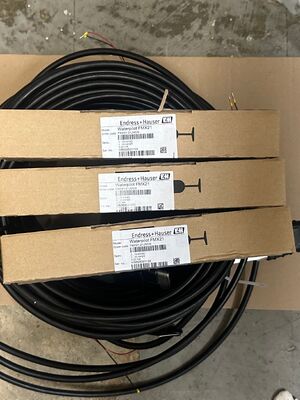 इंडस्ट्रियल प्रोसेस कंट्रोल के लिए Endress Hauser MX21-21JM0/0 उच्च परिशुद्धता क्षमता स्तर स्विच