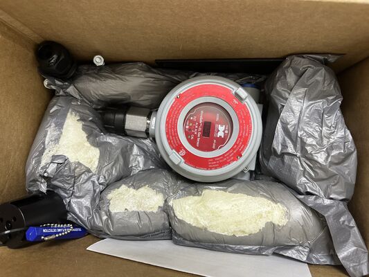 Teledyne 965-525420-100 उच्च विश्वसनीयता उत्प्रेरक ज्वलनशील गैस सेंसर